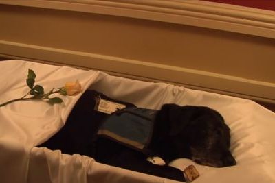 https://www.funerariadeguardia.es/almacen/noticias/img_can1.jpg