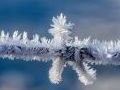 Cmo afecta el frio a nuestra salud?